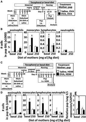 Dysbiotic lung microbial communities of neonates from allergic mothers confer neonate responsiveness to suboptimal allergen